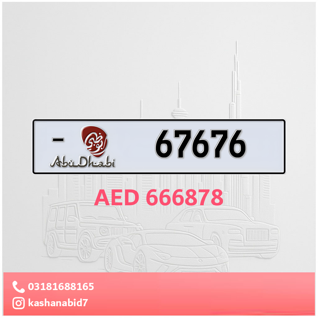 67676