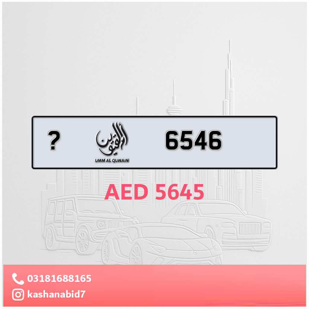 6546